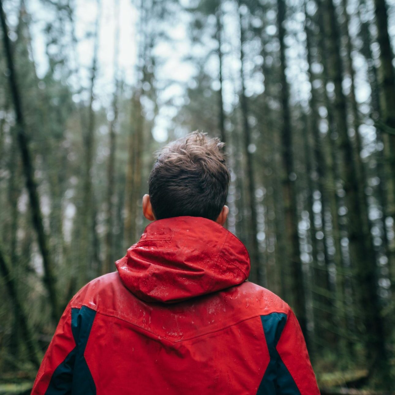 A man in a red jacket standing in a lush forest, embracing nature's calm.